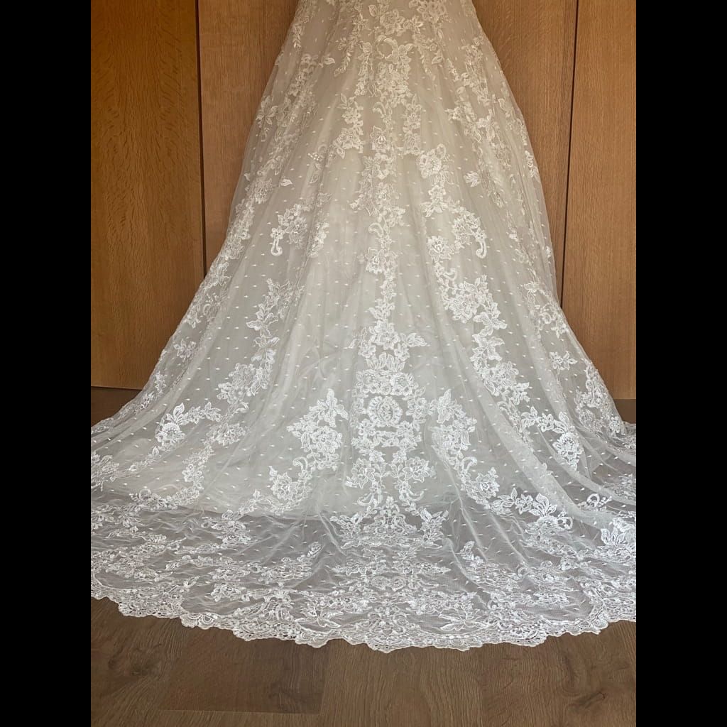 Wedding Dress with veil
