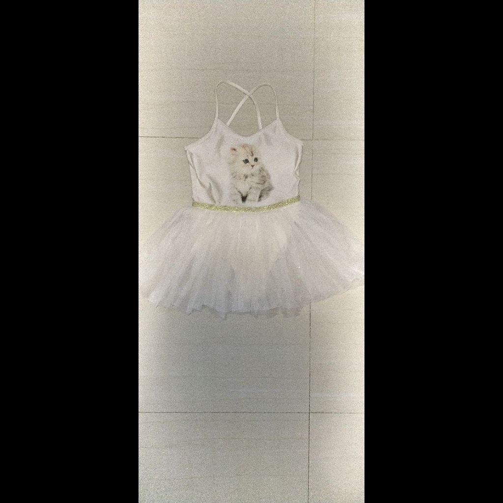 H&M ballet dress