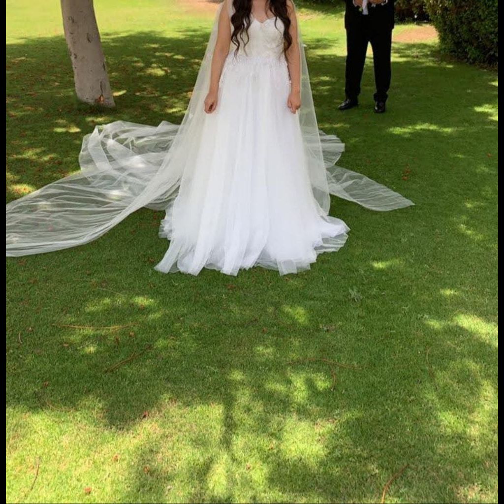 Wedding dress with Veil