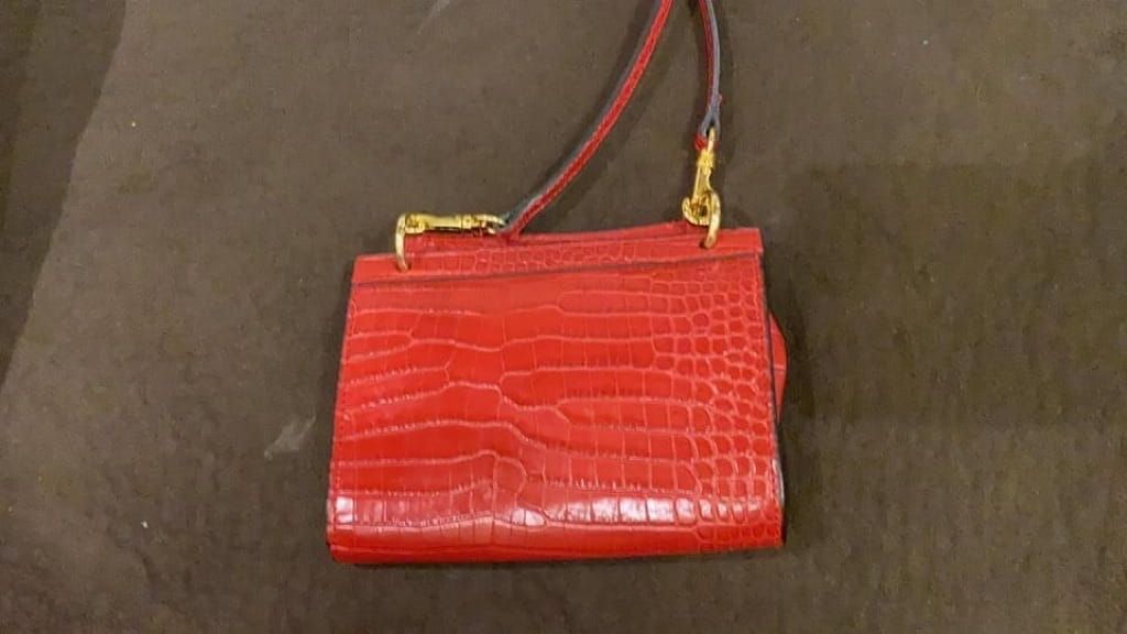Ralph lauren Mini wallet on chain bag