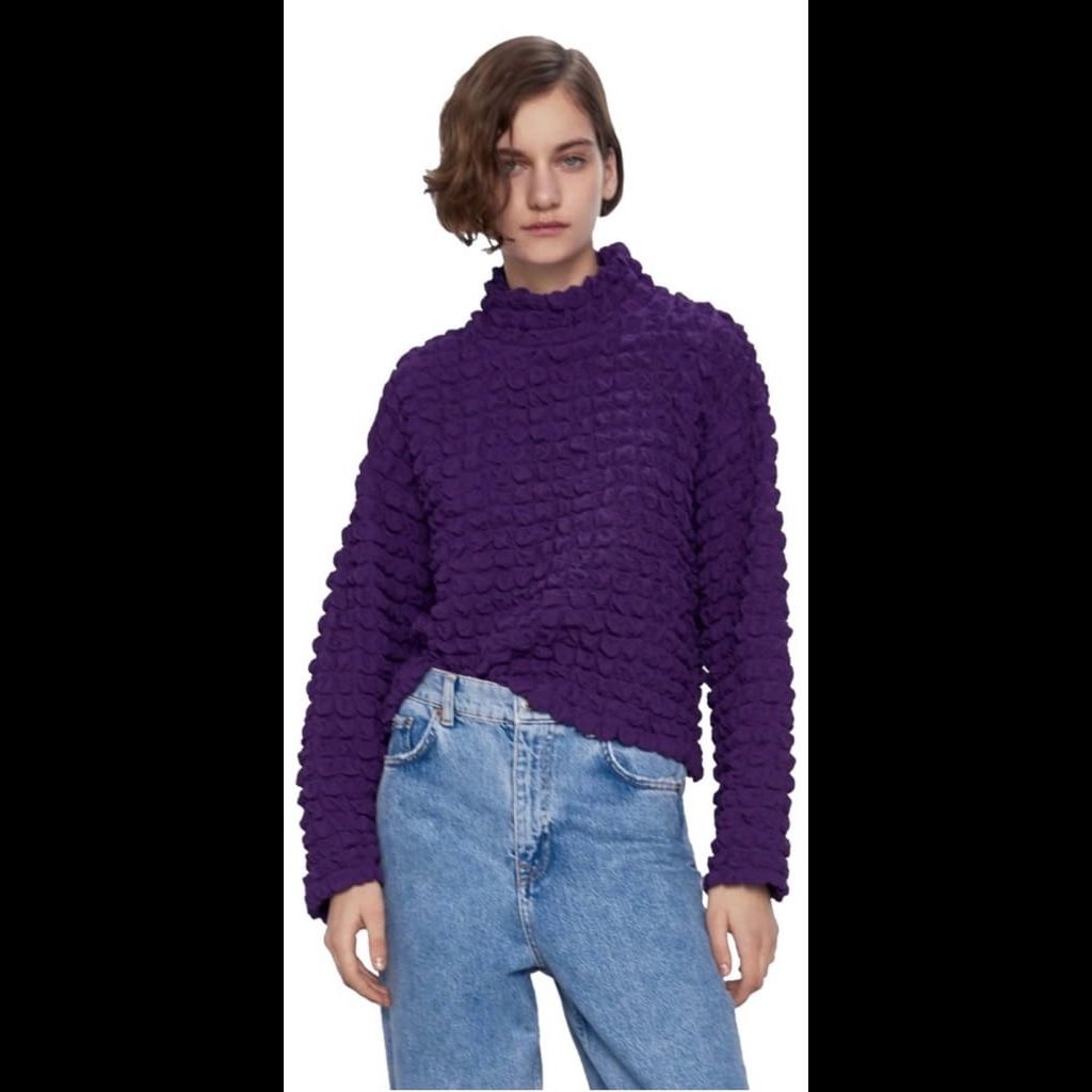 Zara textured weave sweatshirt