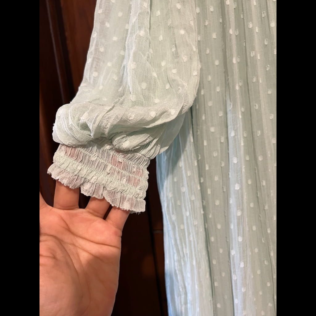 Zara plumetti dress