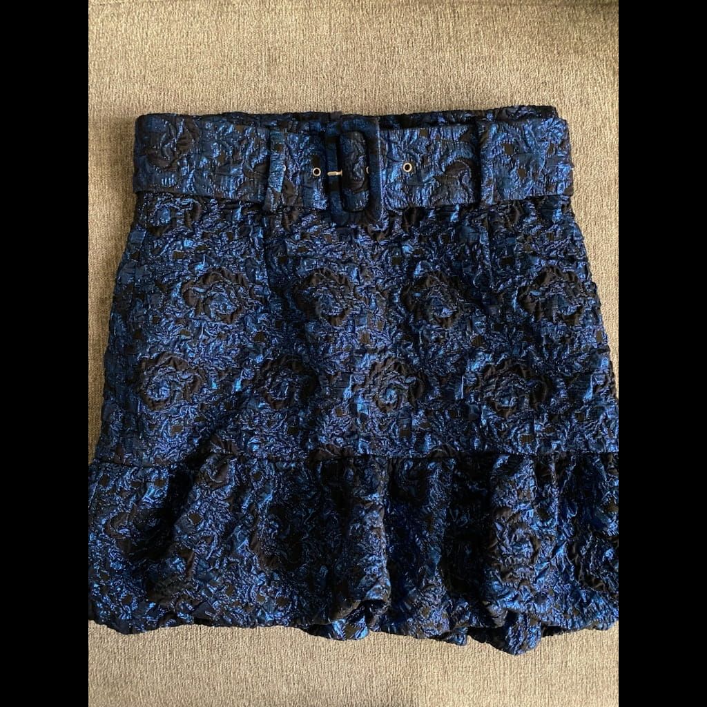 Zara Festive skirt