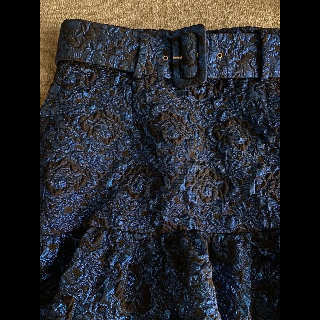 Zara Festive skirt