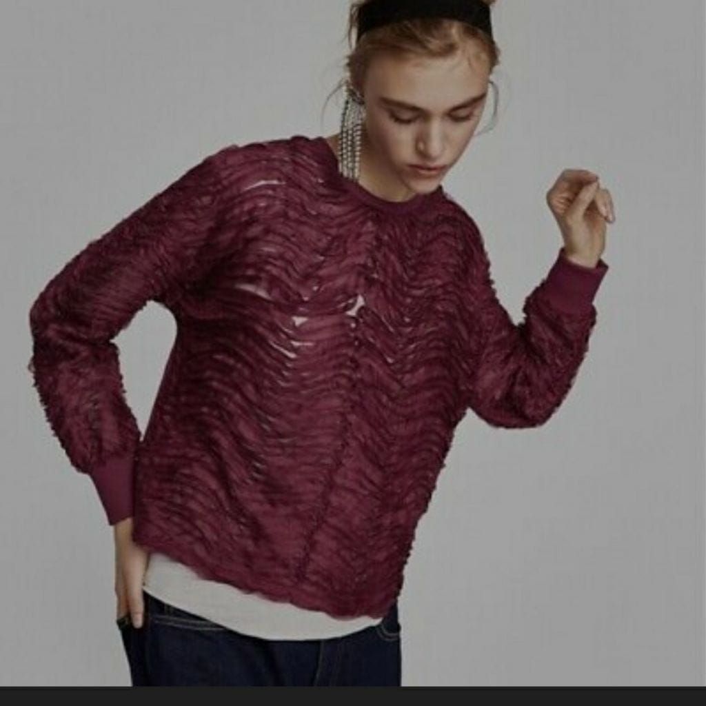 Zara Ruffled Long Sleeve Sweatshirt
